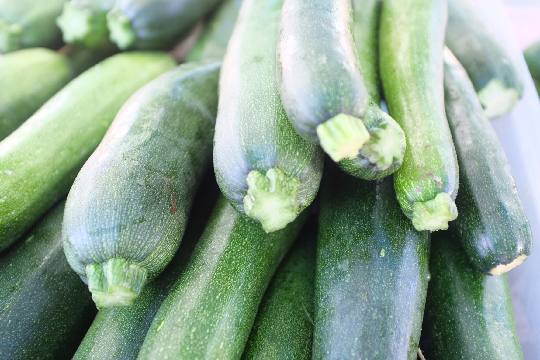 Zucchini